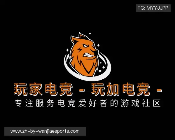 介绍玩家电竞
